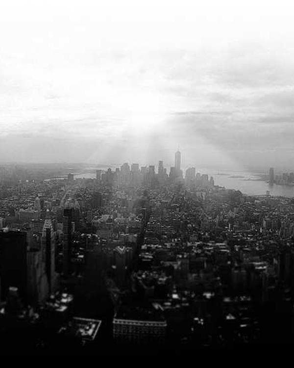 Premium accessoires Supplement 1 composition