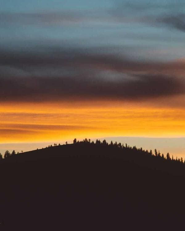 Premium accessoires Supplement 2 composition