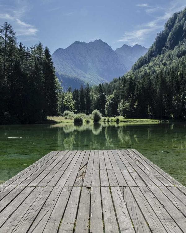 Premium accessoires Supplement 11 composition