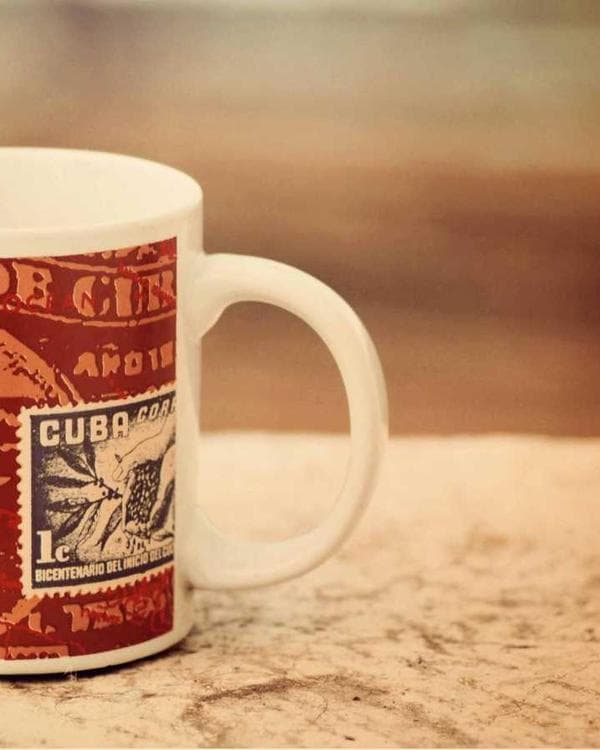 Premium accessoires Supplement 12 composition