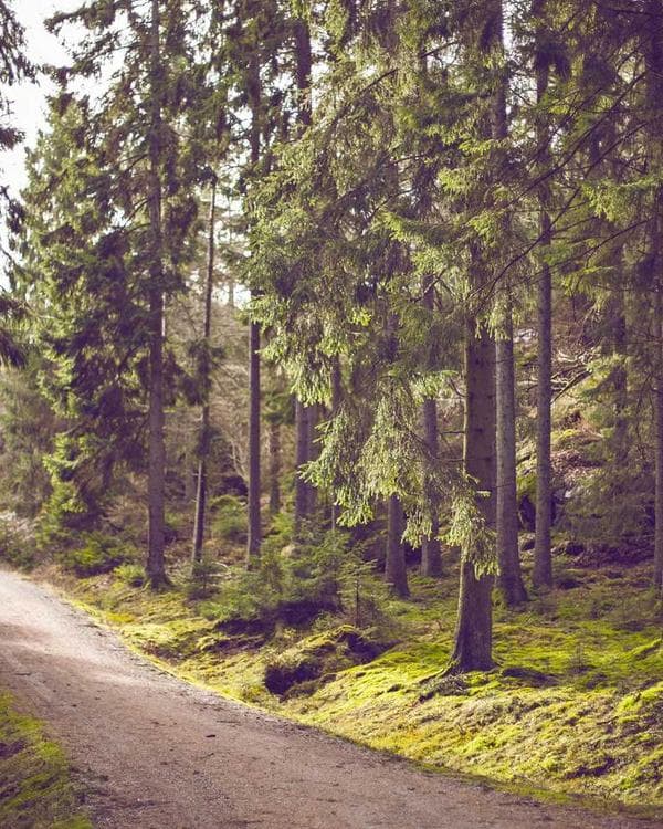 Premium accessoires Supplement 3