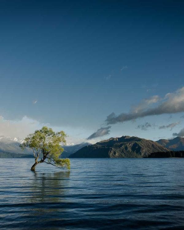 Premium accessoires Supplement 4