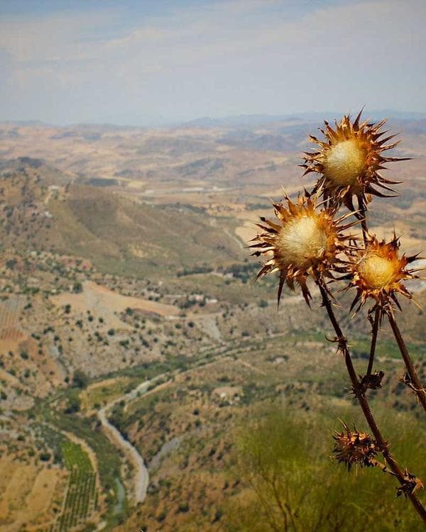 Premium accessoires Supplement 5