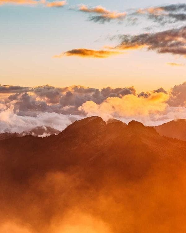 Premium accessoires Supplement 6 composition