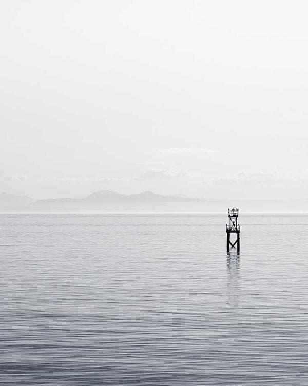 Premium accessoires Supplement 8