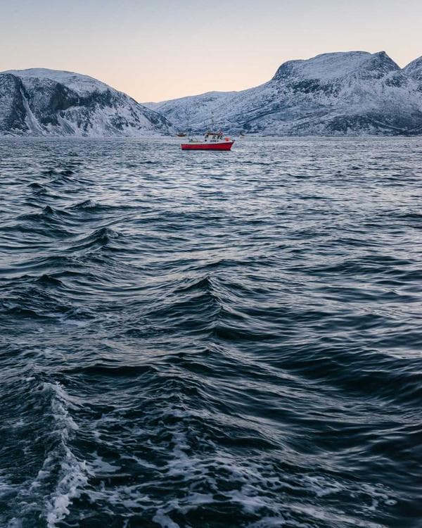 Premium accessoires Supplement 9 composition