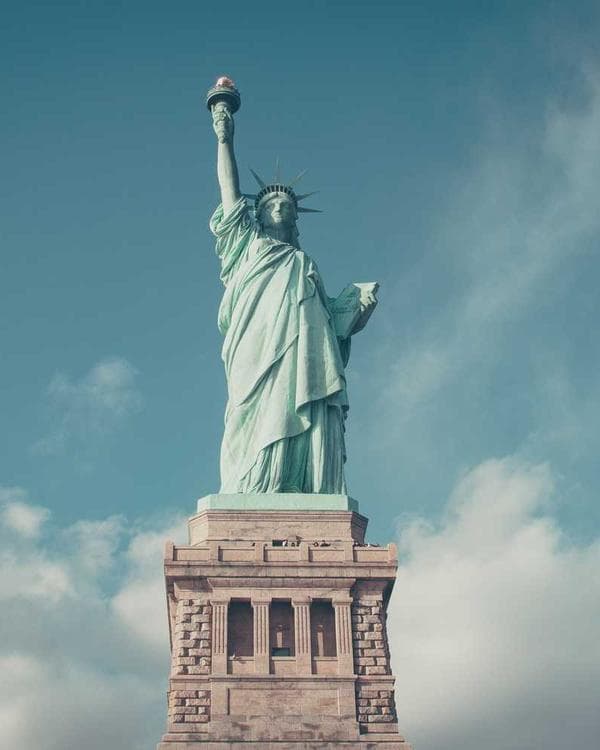 Premium accessoires Supplement 10 composition