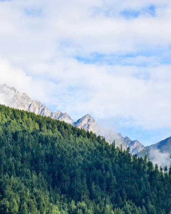 Premium acides amines Supplement 1