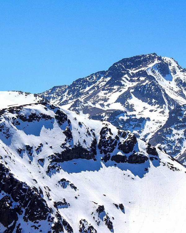 Premium acides amines Supplement 2