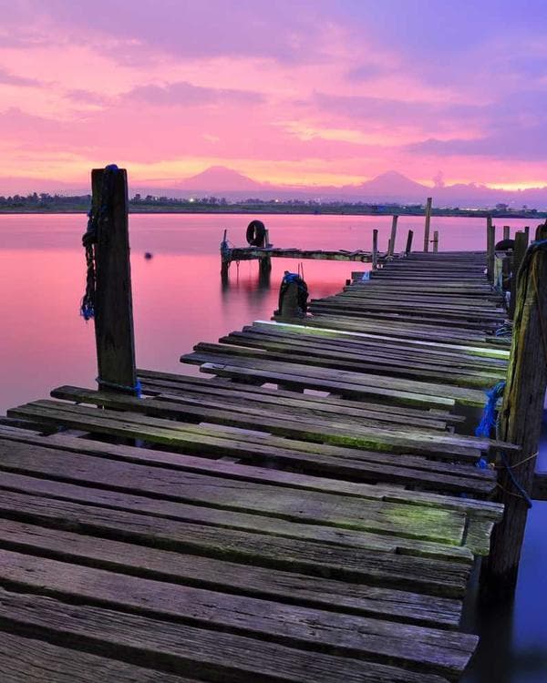 Premium acides amines Supplement 11 composition