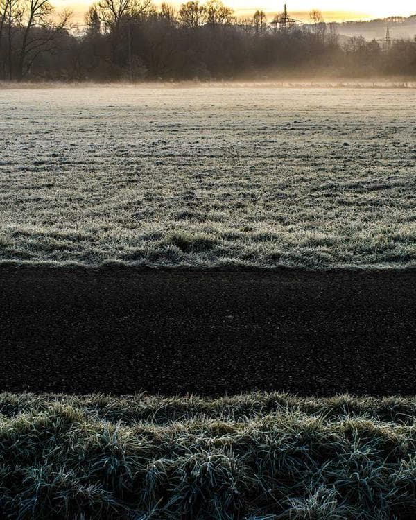 Premium acides amines Supplement 12 composition