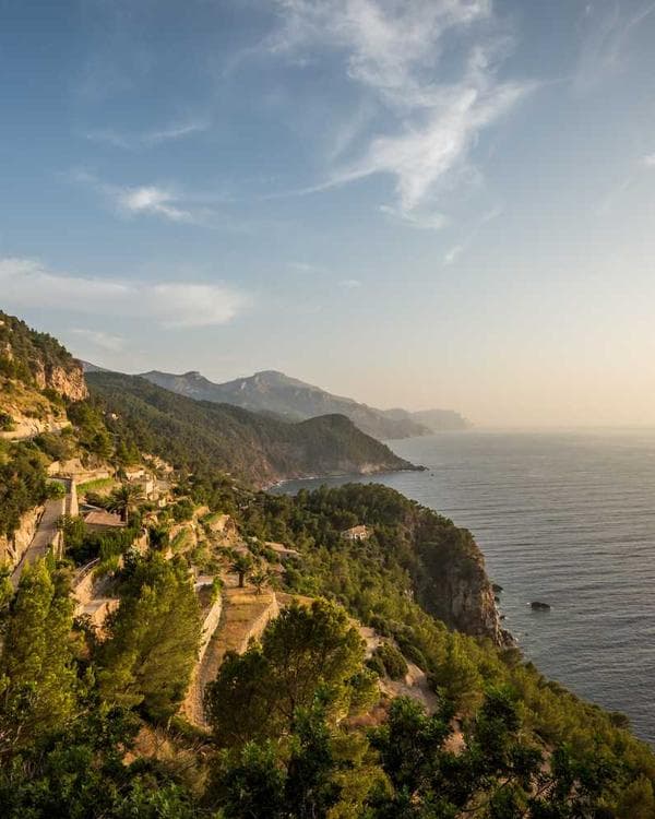 Premium acides amines Supplement 3