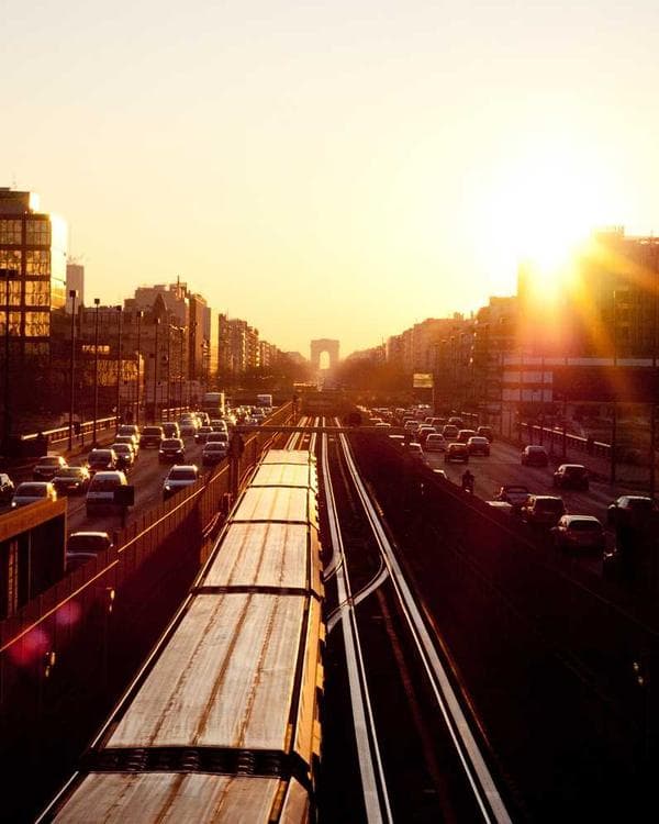 Premium acides amines Supplement 5