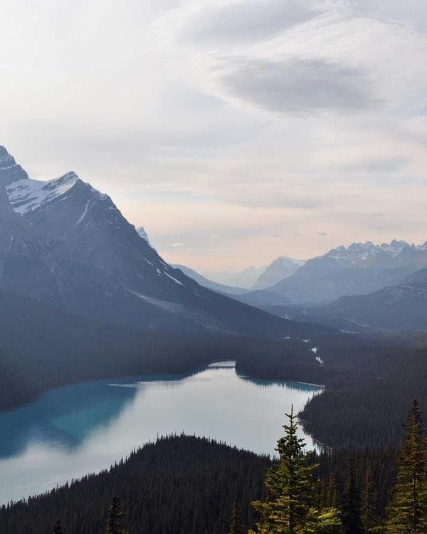 Premium acides amines Supplement 5 composition