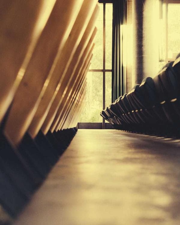 Premium acides amines Supplement 7 composition