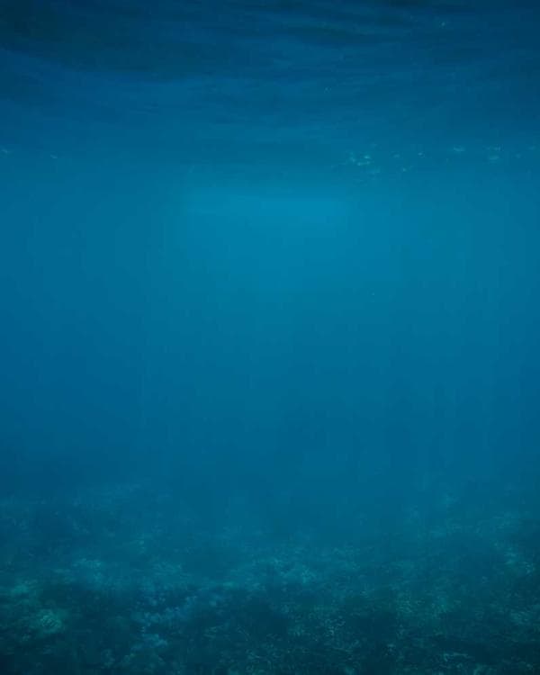 Premium acides amines Supplement 8