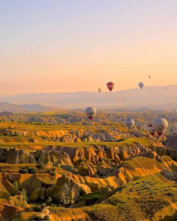 Premium acides amines Supplement 9