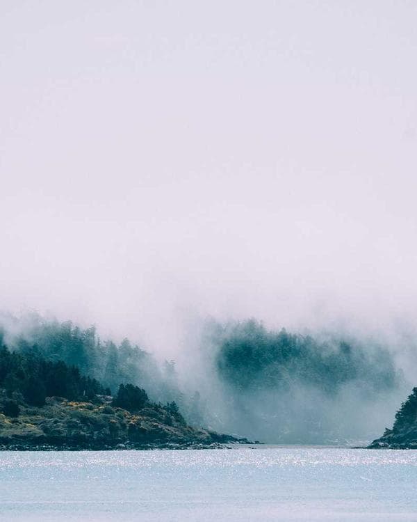 Premium acides amines Supplement 9 composition