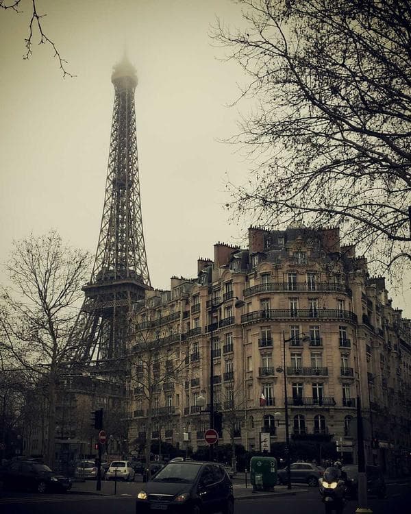 Premium creatine performance Supplement 1 composition