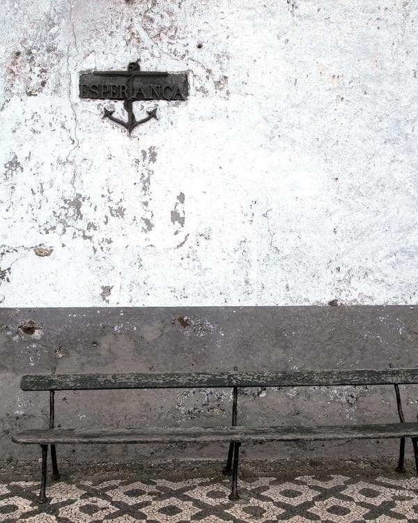 Premium creatine performance Supplement 11 composition