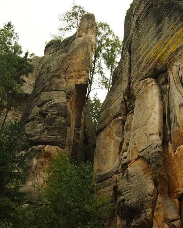 Premium creatine performance Supplement 12