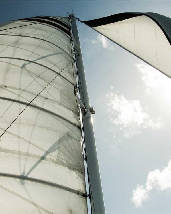 Premium creatine performance Supplement 4