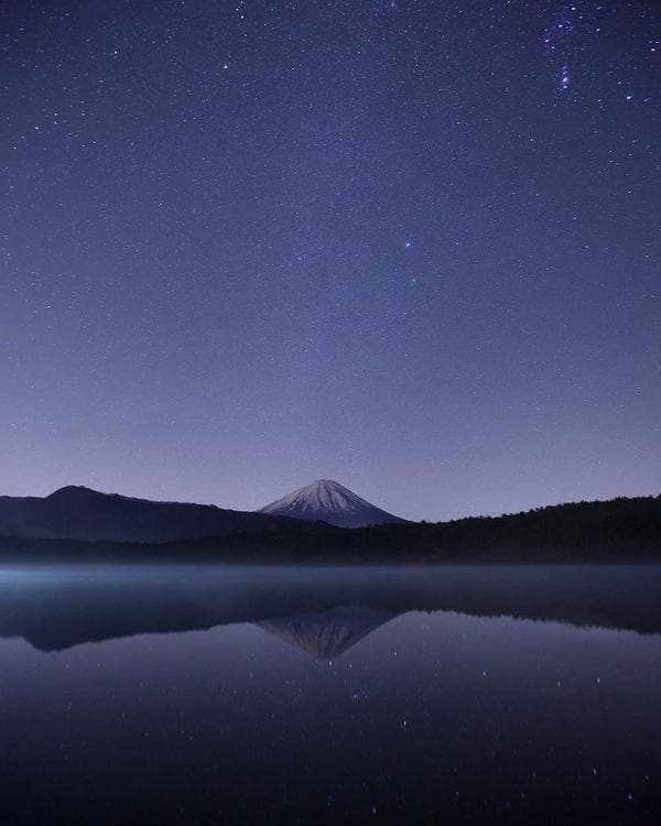 Premium creatine performance Supplement 4 composition