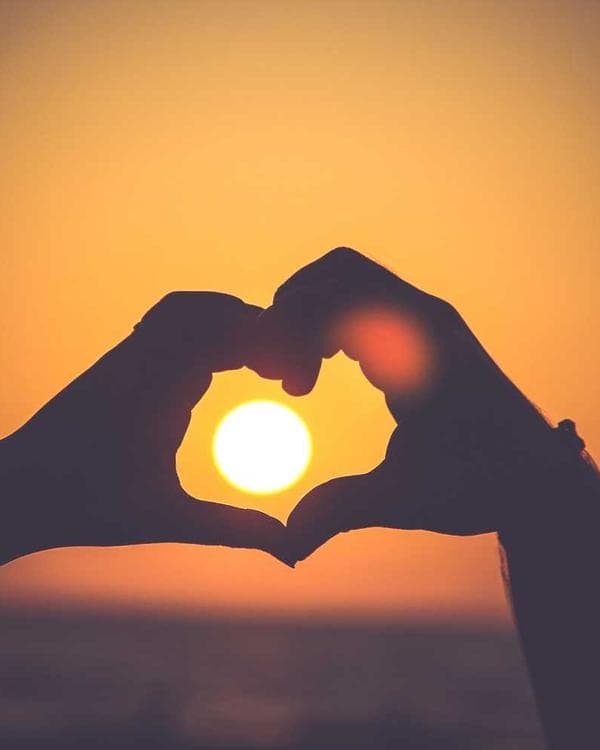 Premium creatine performance Supplement 5 composition