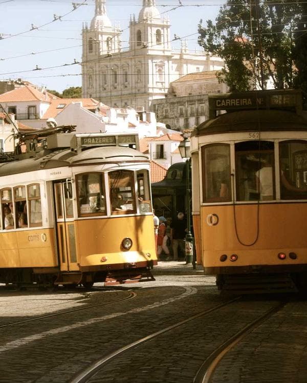 Premium creatine performance Supplement 6