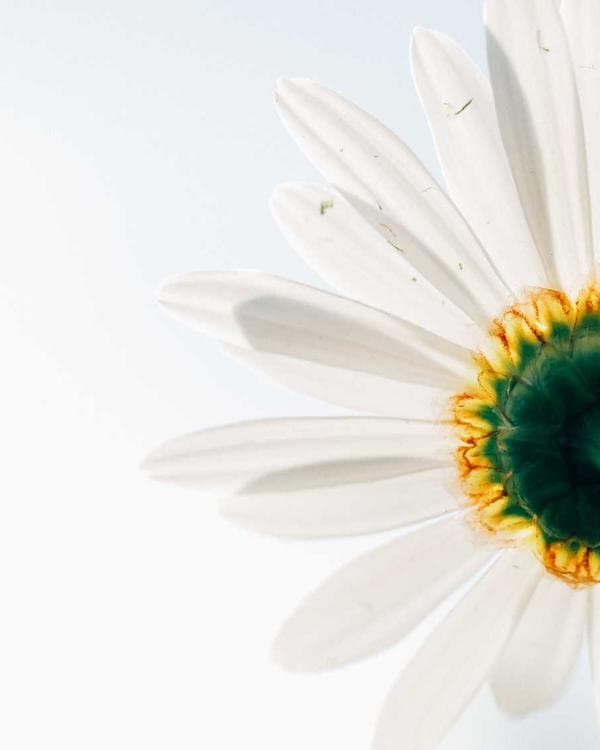 Premium creatine performance Supplement 6 composition