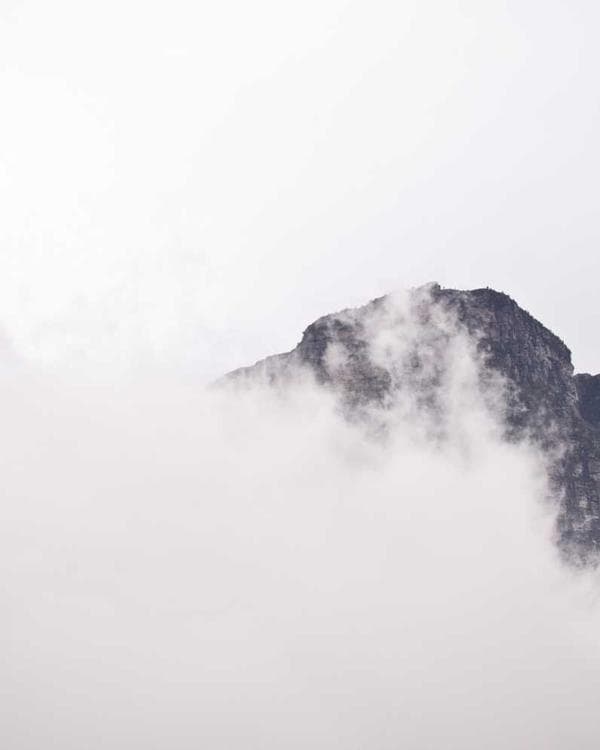 Premium creatine performance Supplement 8