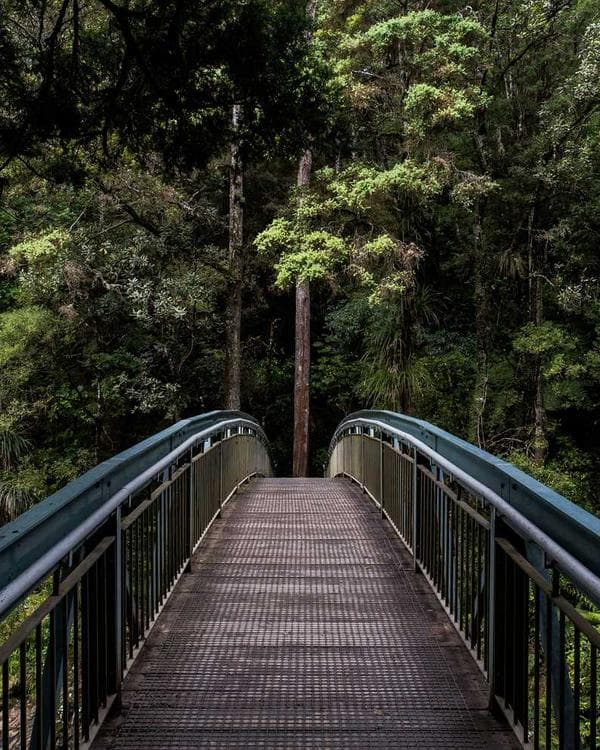 Premium creatine performance Supplement 9