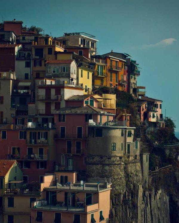 Premium gainers carbohydrates Supplement 11