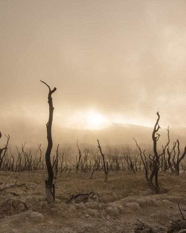 Premium gainers carbohydrates Supplement 3 composition