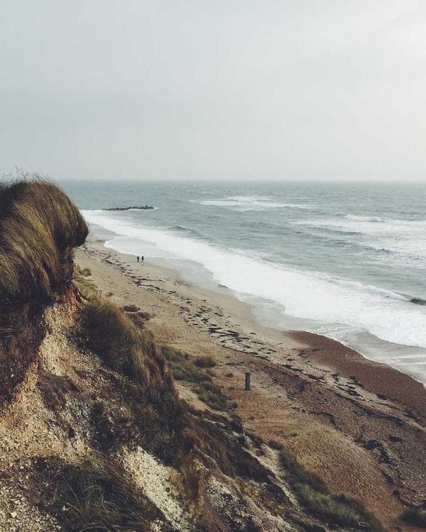 Premium gainers carbohydrates Supplement 4