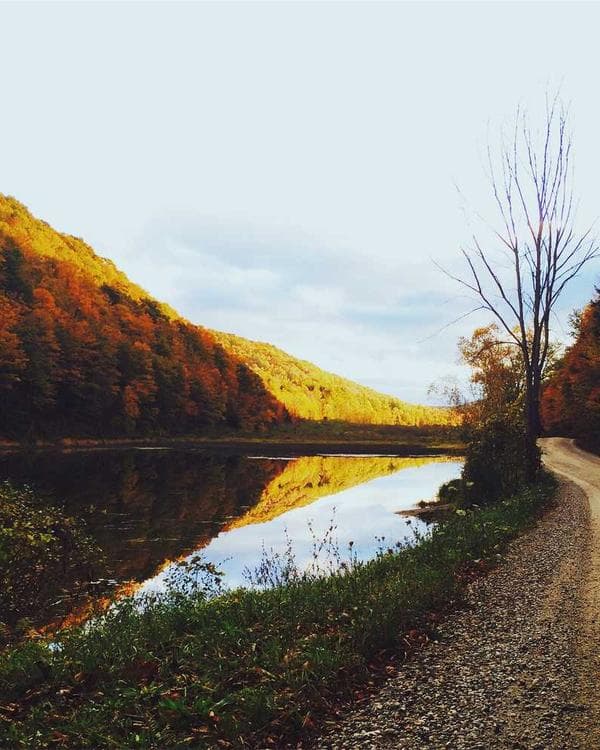 Premium gainers carbohydrates Supplement 6 composition