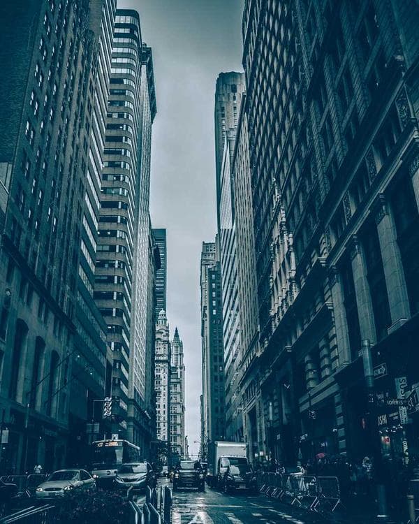 Premium gainers carbohydrates Supplement 7