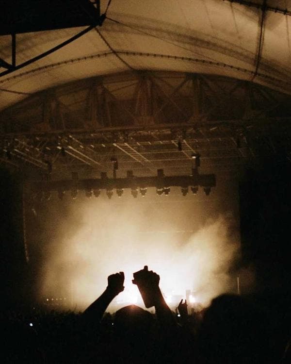 Premium gainers carbohydrates Supplement 8