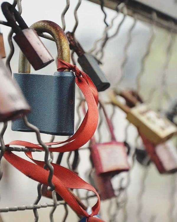 Premium gainers carbohydrates Supplement 10