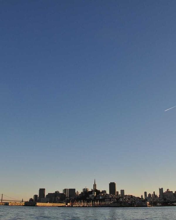 Premium gainers carbohydrates Supplement 10 composition