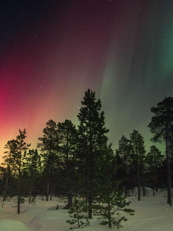 RECOVER BCAA lifestyle