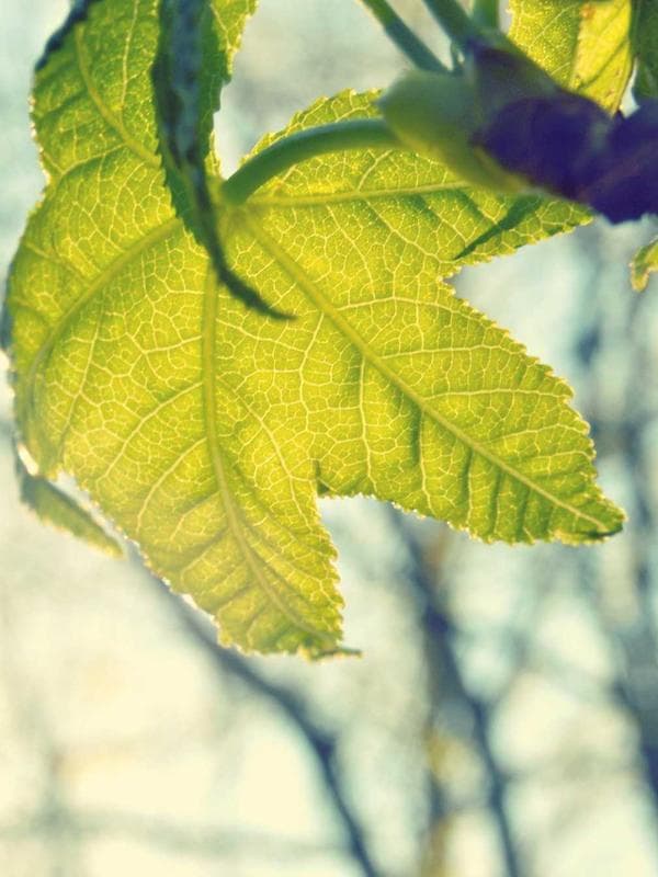 PUMP MATRIX lifestyle