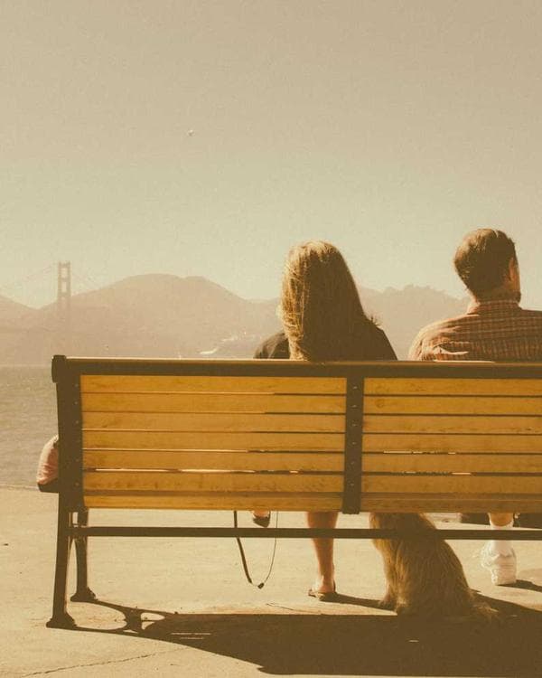 Premium packs Supplement 1 composition