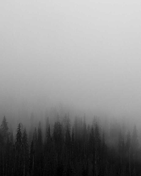 Premium packs Supplement 3