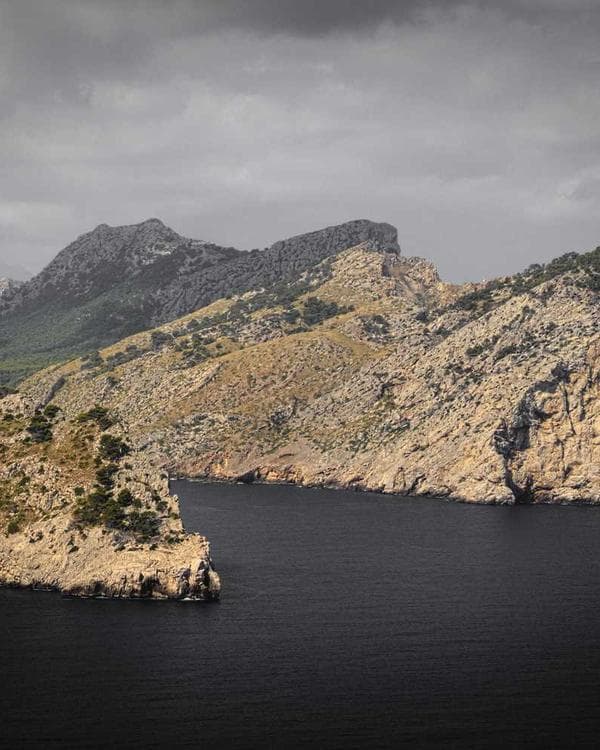 Premium packs Supplement 3 composition