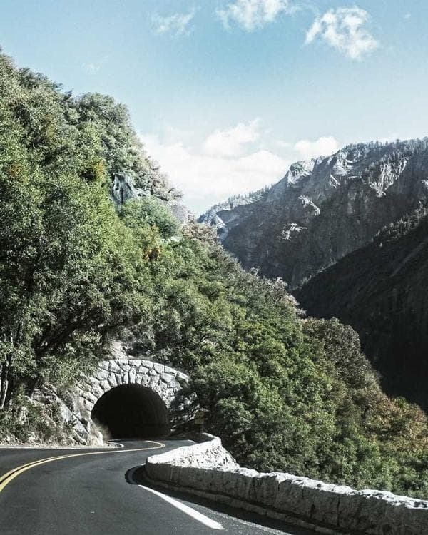 Premium packs Supplement 5 composition