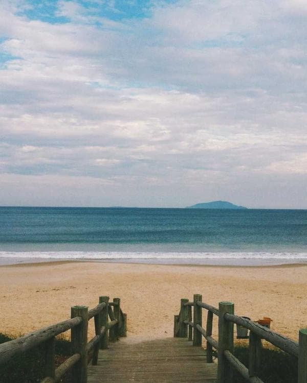 Premium packs Supplement 10 composition