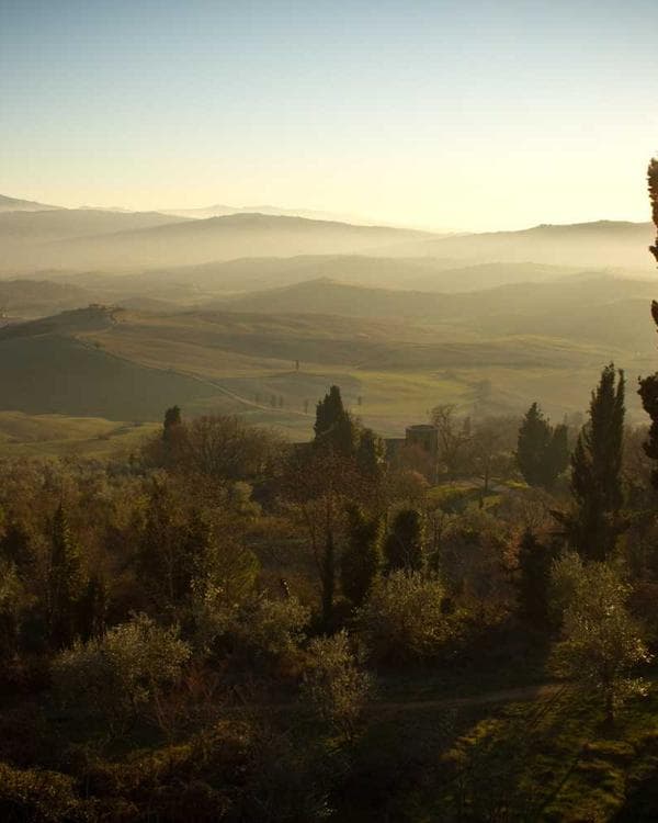 Premium perte de-poids Supplement 11