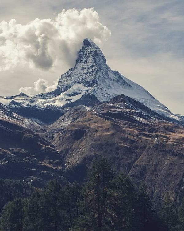 Premium perte de-poids Supplement 12 composition