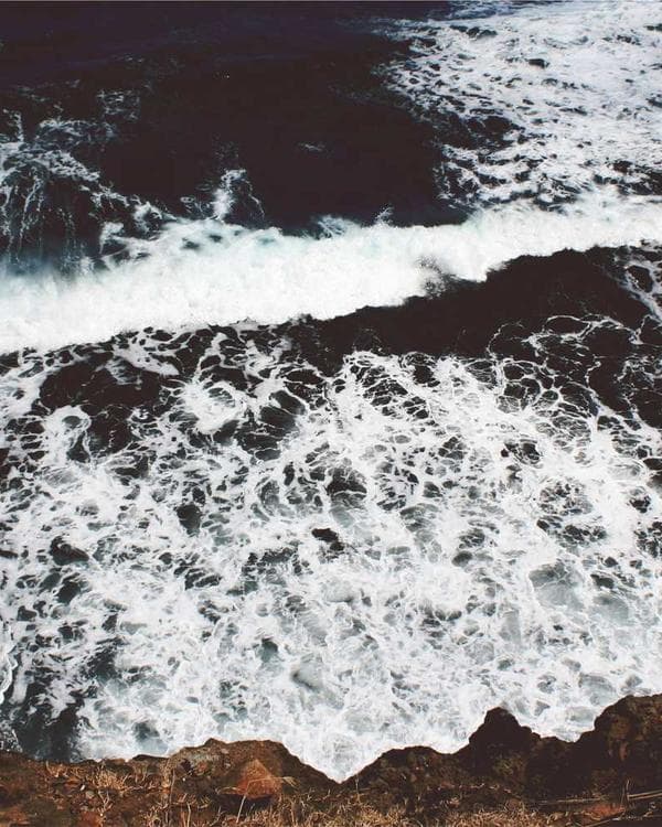 Premium perte de-poids Supplement 4